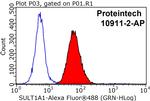 SULT1A1 Antibody in Flow Cytometry (Flow)