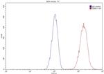 HSP70 Antibody in Flow Cytometry (Flow)