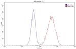 HSP70 Antibody in Flow Cytometry (Flow)