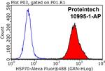 HSP70 Antibody in Flow Cytometry (Flow)