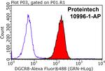 DGCR8 C-terminal Antibody in Flow Cytometry (Flow)