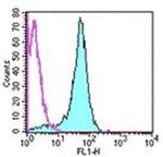 CD2 Antibody in Flow Cytometry (Flow)