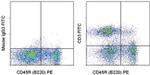 CD3 Antibody in Flow Cytometry (Flow)