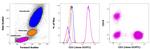 CD3 Antibody in Flow Cytometry (Flow)