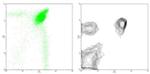 CD4 Antibody in Flow Cytometry (Flow)