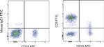 CD5 Antibody in Flow Cytometry (Flow)