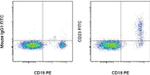 CD23 Antibody in Flow Cytometry (Flow)