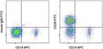 CD28 Antibody in Flow Cytometry (Flow)