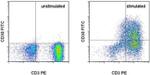 CD30 Antibody in Flow Cytometry (Flow)