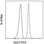 CD31 (PECAM-1) Antibody in Flow Cytometry (Flow)