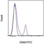 CD40 Antibody in Flow Cytometry (Flow)