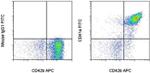 CD41a Antibody in Flow Cytometry (Flow)