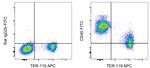 CD45 Antibody in Flow Cytometry (Flow)