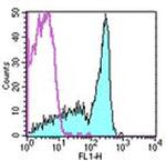 CD45RB Antibody in Flow Cytometry (Flow)