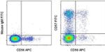 CD57 Antibody in Flow Cytometry (Flow)