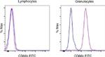 CD66b Antibody in Flow Cytometry (Flow)