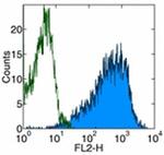 CD69 Antibody in Flow Cytometry (Flow)