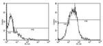 CD80 (B7-1) Antibody in Flow Cytometry (Flow)