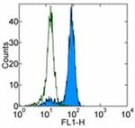 CD98hc Antibody in Flow Cytometry (Flow)