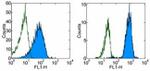 CD102 (ICAM-2) Antibody in Flow Cytometry (Flow)