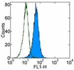 CD107b (LAMP-2) Antibody in Flow Cytometry (Flow)