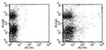 CD117 (c-Kit) Antibody in Flow Cytometry (Flow)