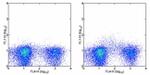 CD123 Antibody in Flow Cytometry (Flow)