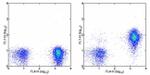 CD127 Antibody in Flow Cytometry (Flow)