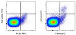 CD163 Antibody in Flow Cytometry (Flow)