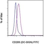 CD209 (DC-SIGN) Antibody in Flow Cytometry (Flow)