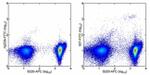 CD317 (BST2, PDCA-1) Antibody in Flow Cytometry (Flow)