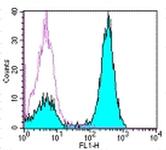 Mouse IgG (H+L) Secondary Antibody in Flow Cytometry (Flow)