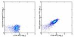 Mouse IgG (H+L) Secondary Antibody in Flow Cytometry (Flow)