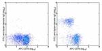 Syrian Hamster IgG (H+L) Secondary Antibody in Flow Cytometry (Flow)