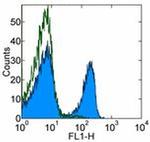 Syrian Hamster IgG (H+L) Secondary Antibody in Flow Cytometry (Flow)