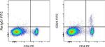 Rat IgG1 kappa Isotype Control in Flow Cytometry (Flow)