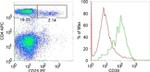 Rabbit IgG (H+L) Secondary Antibody in Flow Cytometry (Flow)