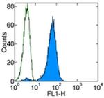 TCR DO11.10 Antibody in Flow Cytometry (Flow)