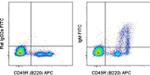 IgM Antibody in Flow Cytometry (Flow)