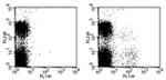 Ly-49I Antibody in Flow Cytometry (Flow)