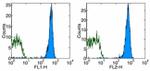 TER-119 Antibody in Flow Cytometry (Flow)