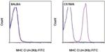 MHC Class I (H-2Kb) Antibody in Flow Cytometry (Flow)