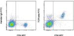 TCR beta Antibody in Flow Cytometry (Flow)