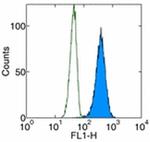 Cytochrome C Antibody in Flow Cytometry (Flow)