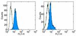 Zap-70 Antibody in Flow Cytometry (Flow)