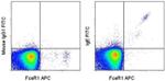 IgE Antibody in Flow Cytometry (Flow)