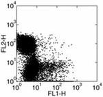 IFN gamma Antibody in Flow Cytometry (Flow)