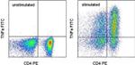 TNF alpha Antibody in Flow Cytometry (Flow)