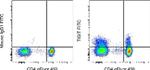 TIGIT Antibody in Flow Cytometry (Flow)