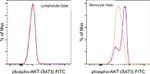 Phospho-AKT1 (Ser473) Antibody in Flow Cytometry (Flow)